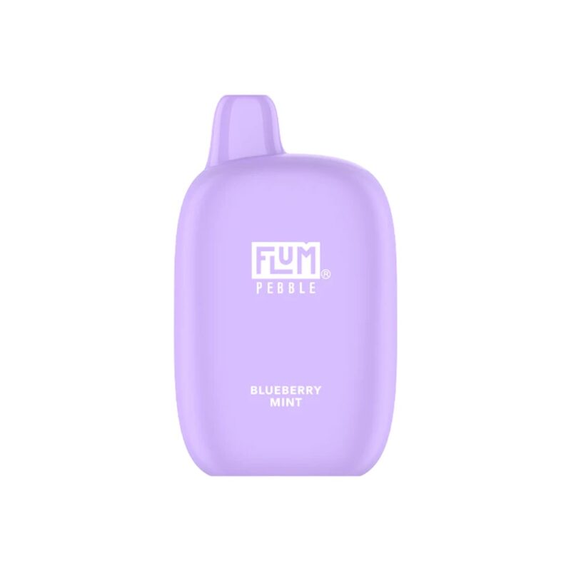 Flum Pebble - Blueberry Mint